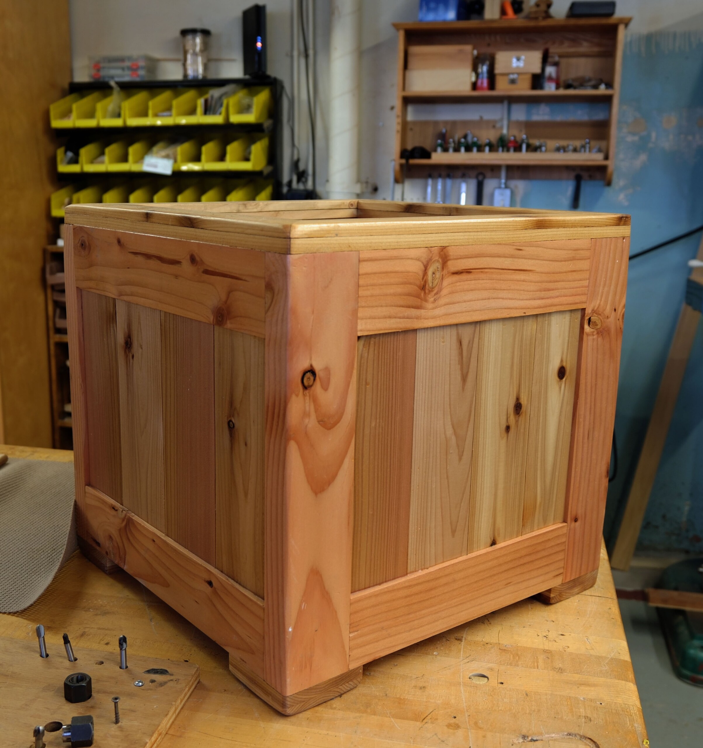 Planter box at ICBVI